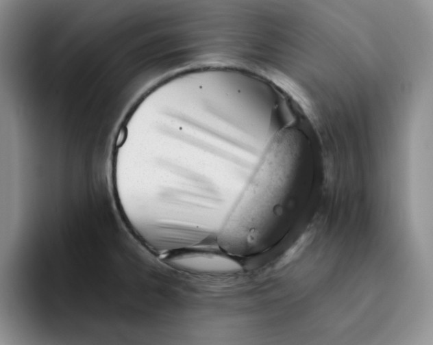 X0000091651334200709201119