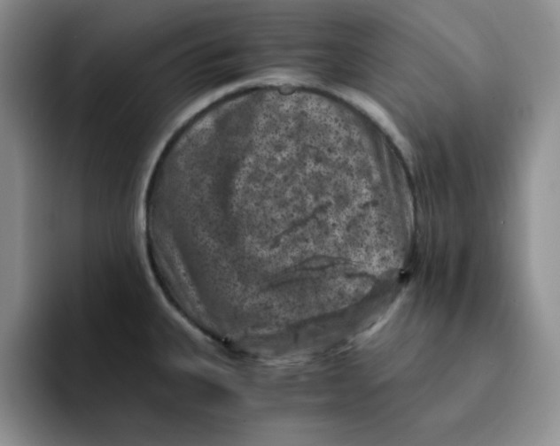 X0000091651335200709201119