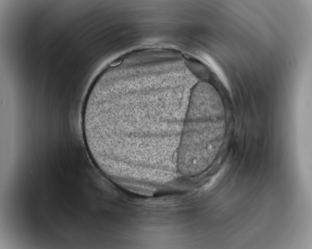 X0000091651336200709201119