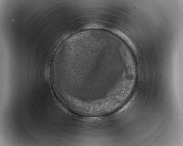 X0000091651337200709201119