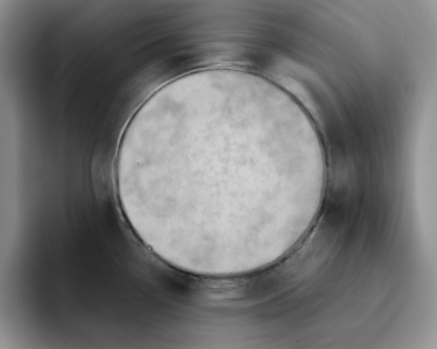 X0000091651338200709201119