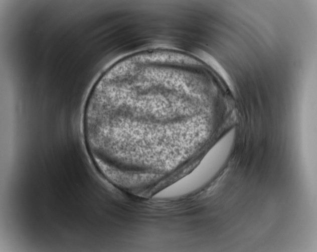 X0000091651339200709201119