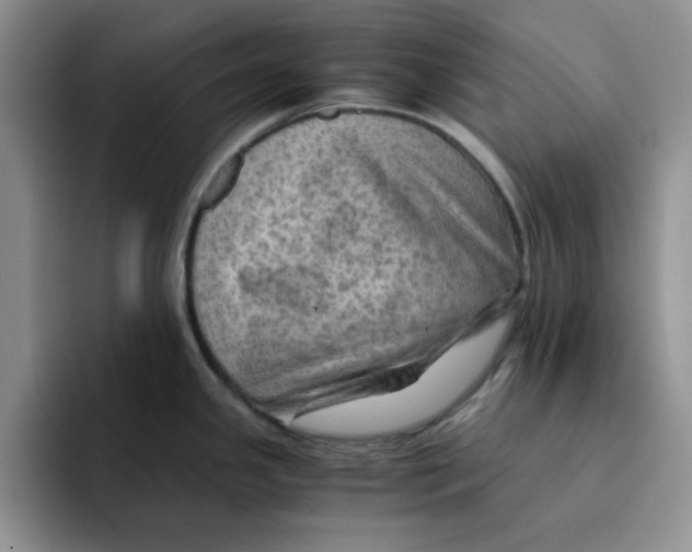 X0000091651341200709201119