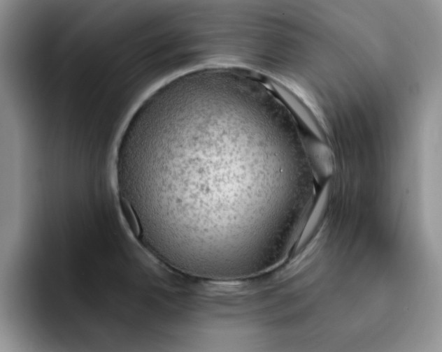 X0000091651342200709201119