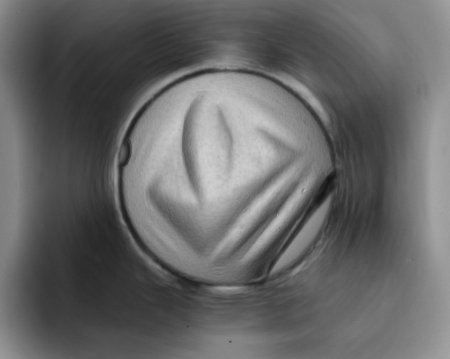 X0000091651343200709201119