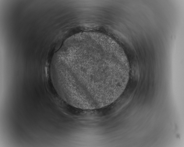 X0000091651346200709201119