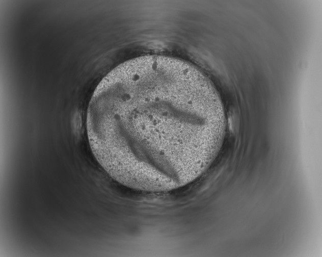 X0000091651347200709201119