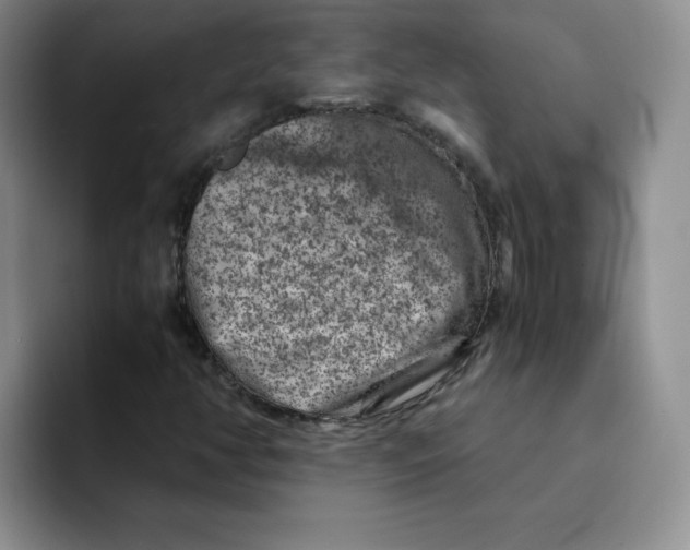 X0000091651350200709201119