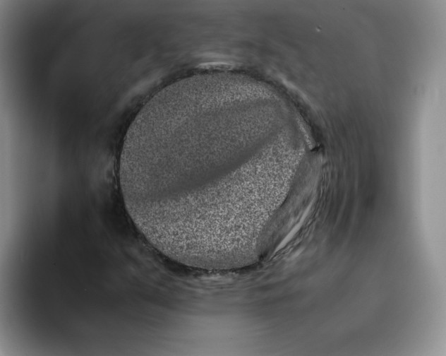 X0000091651351200709201119