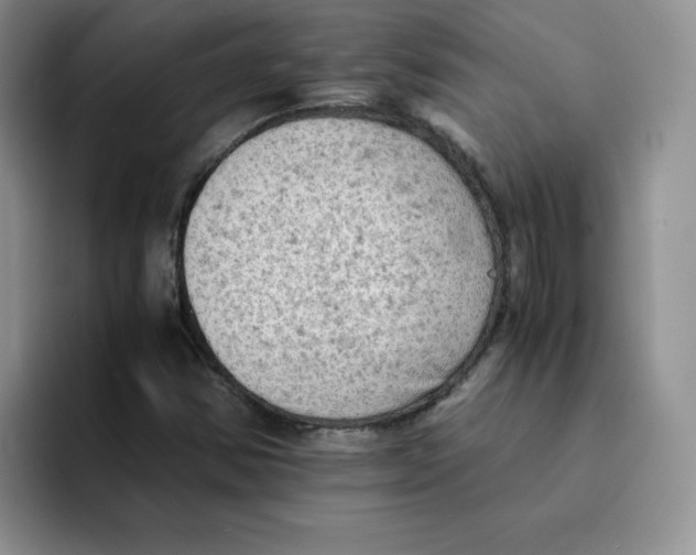 X0000091651354200709201119