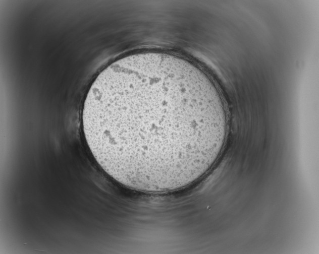 X0000091651355200709201119