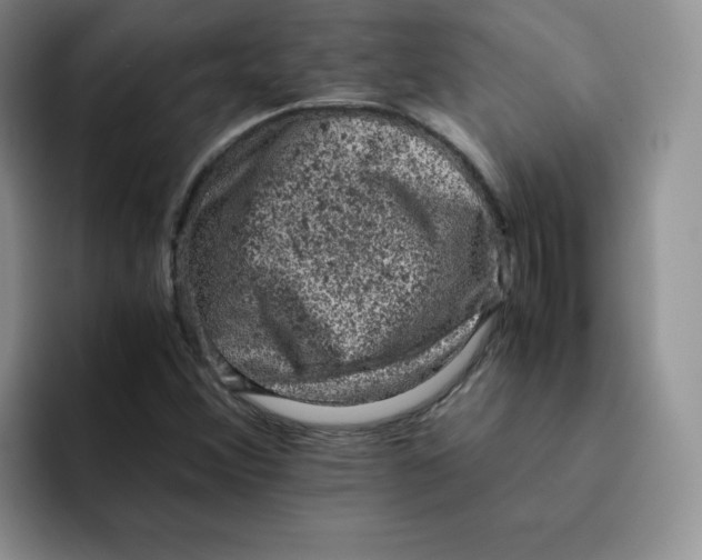 X0000091651356200709201119