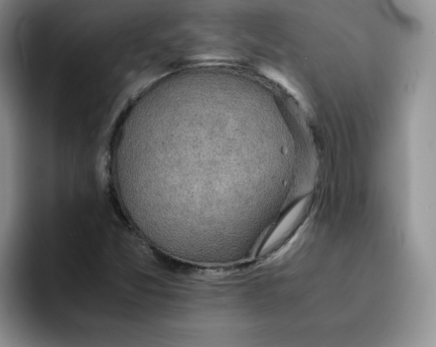 X0000091651357200709201118