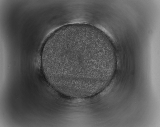 X0000091651358200709201118