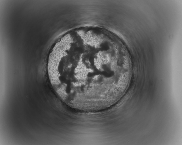 X0000091651359200709201118