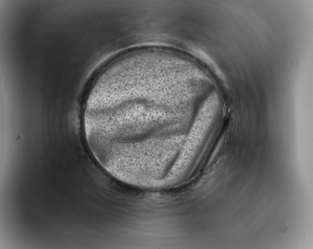 X0000091651360200709201118