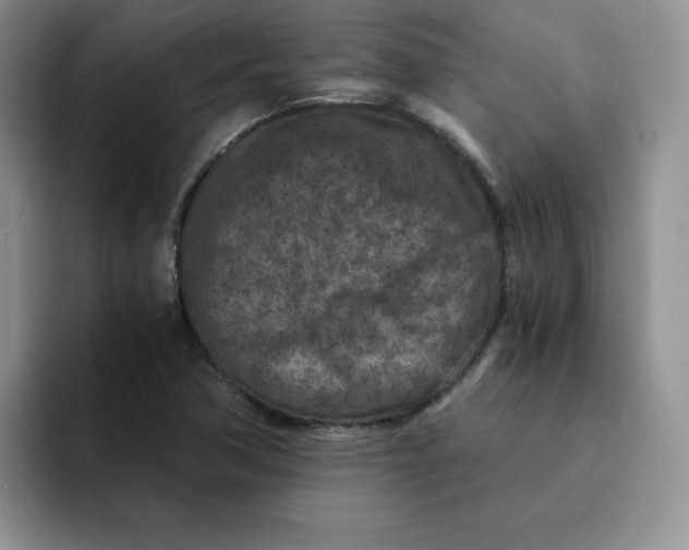 X0000091651362200709201118