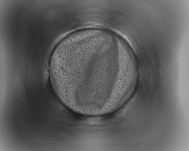 X0000091651363200709201118