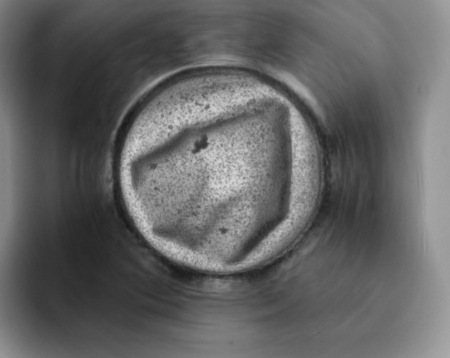 X0000091651364200709201118