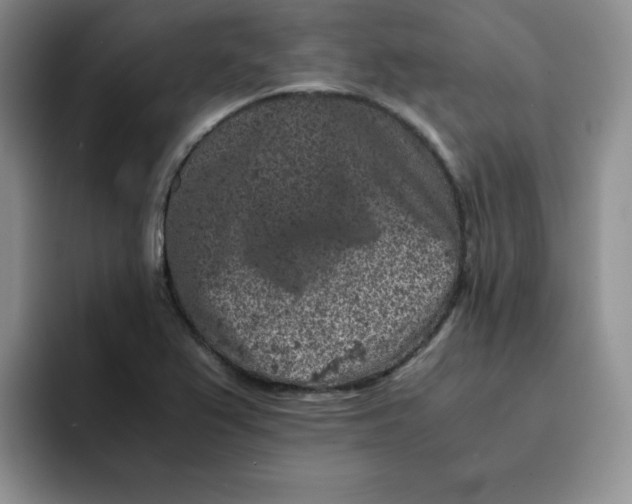 X0000091651367200709201118