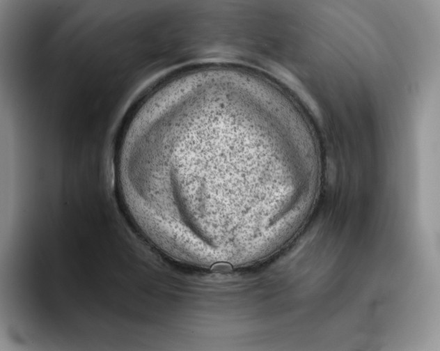 X0000091651368200709201118