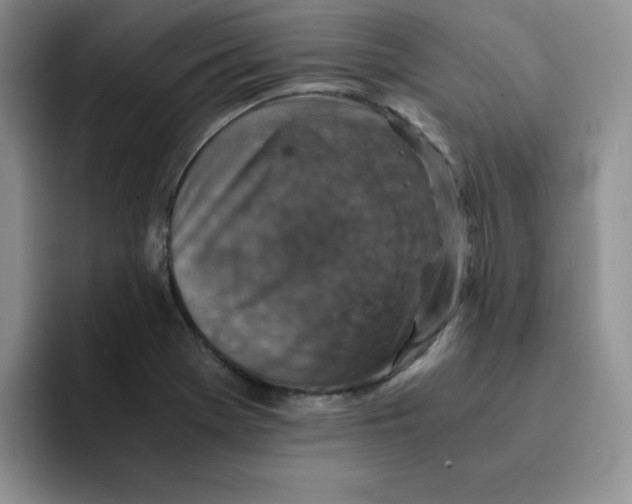 X0000091651369200709201118