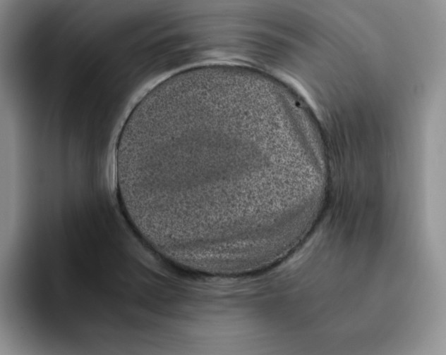 X0000091651371200709201118