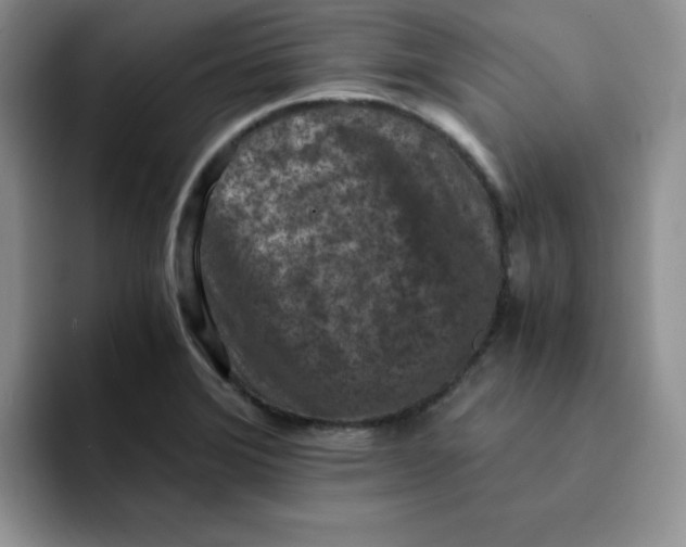 X0000091651372200709201118