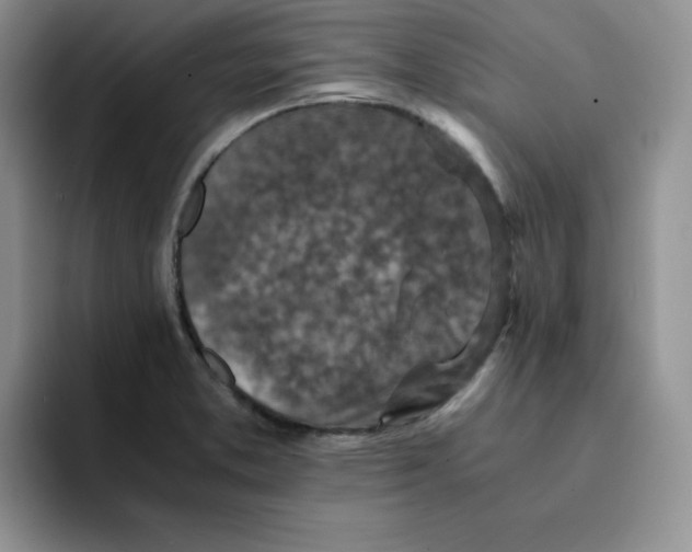 X0000091651373200709201118