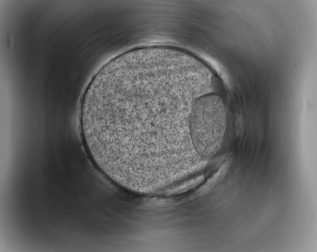 X0000091651374200709201118