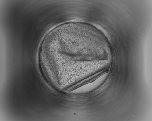 X0000091651375200709201118