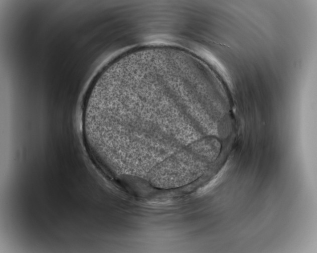 X0000091651376200709201118