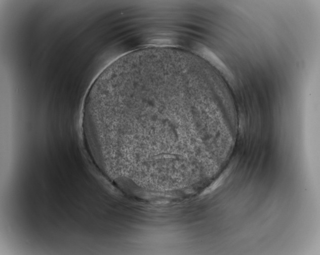 X0000091651378200709201118