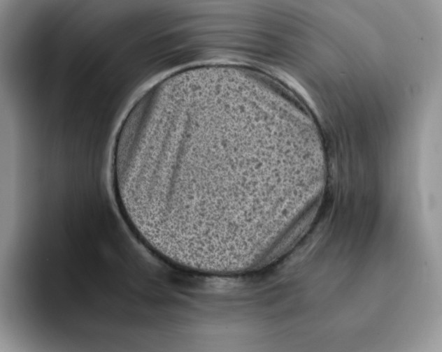 X0000091651379200709201118