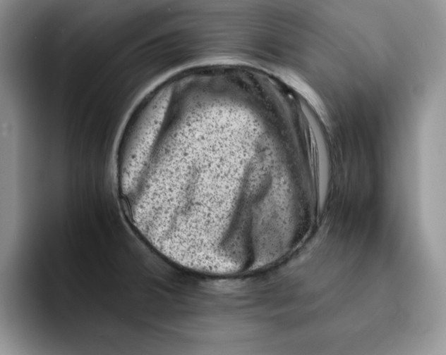 X0000091651380200709201118