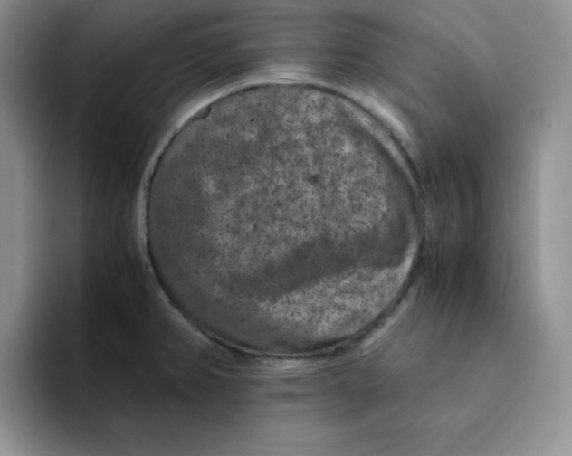 X0000091651382200709201118