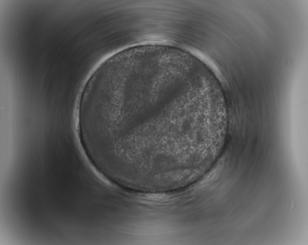 X0000091651383200709201118