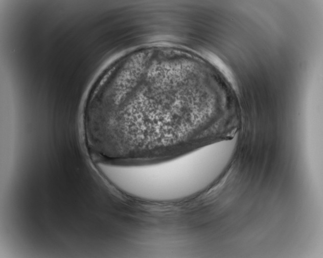 X0000091651384200709201118