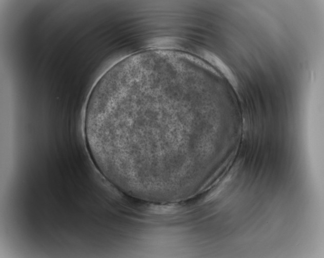 X0000091651386200709201118