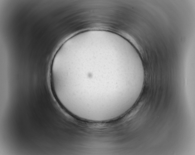 X0000091651387200709201118