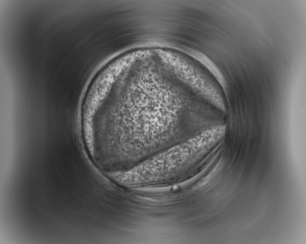 X0000091651388200709201118