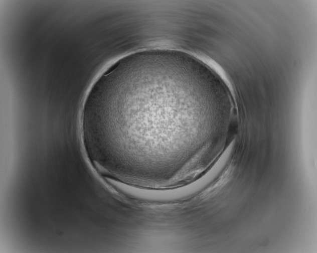 X0000091651389200709201118