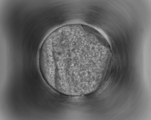 X0000091651390200709201118