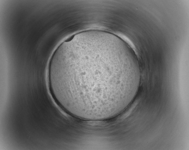 X0000091651391200709201118