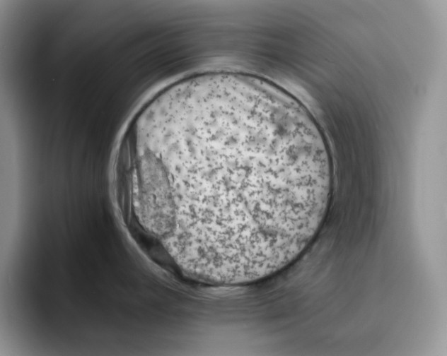 X0000091651392200709201118