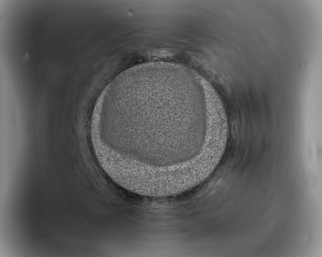 X0000091651393200709201118