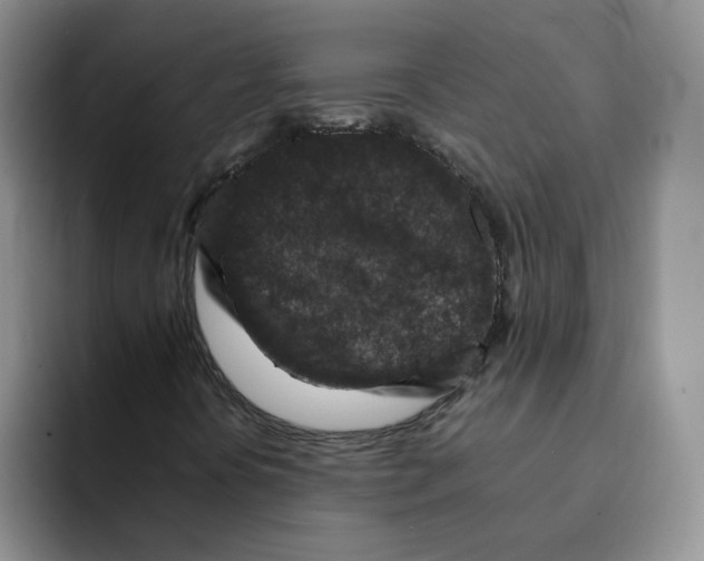 X0000091651394200709201118