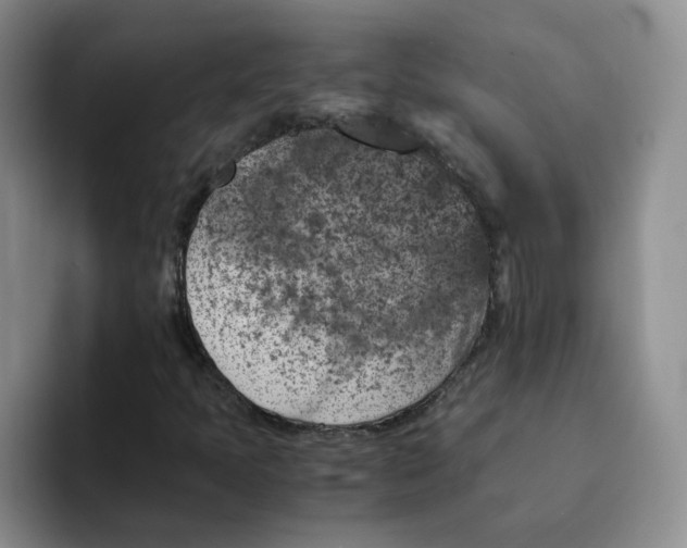 X0000091651397200709201118