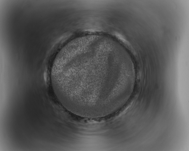 X0000091651398200709201118