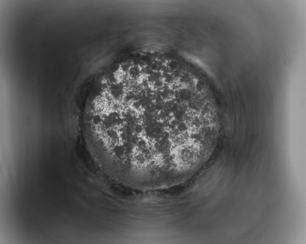 X0000091651399200709201118